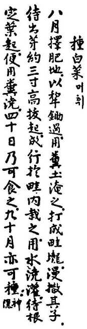 '산림경제' 수록 자료 중 머휘(머위) 기록
