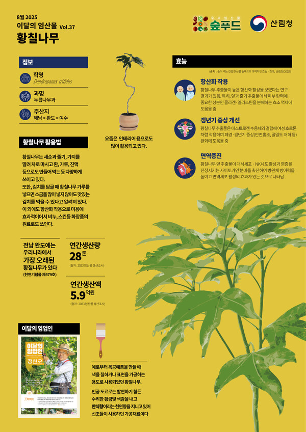 산림청이 이달의 임산물로 남해안과 제주 일부에서 자생하고 있는 '황칠나무'를 선정했다고 14일 밝혔다.