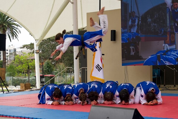날아라 태권V...태권도 시범을 보이고 있는 장면