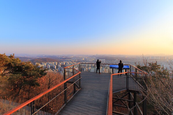 산림청이 추석에 가볼만한 숲길 10선 중 하나로 ‘인천 만수산 무장애 숲길’이 수도권 대표 숲길로 선정됐다.