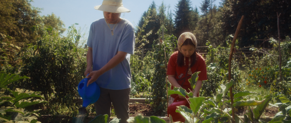 제29회 밴쿠버아시안영화제의 단편 영화 촬영상, 단편 감독상, 단편 영화상 3개 부문에 노미네이트 된 한인 감독의 홍소희 감독의 '위핑피그(Weeping Fig)' 장면.