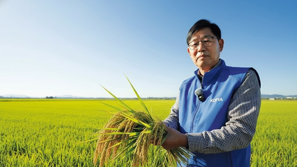 '해외농업기술개발사업' 몽골센터의 오명규 소장과 연구진은 2년간의 집중적인 연구 끝에 한국 품종 '진부올벼'를 몽골 홉드도 볼강군 시험포장에서 성공적으로 수확했다.