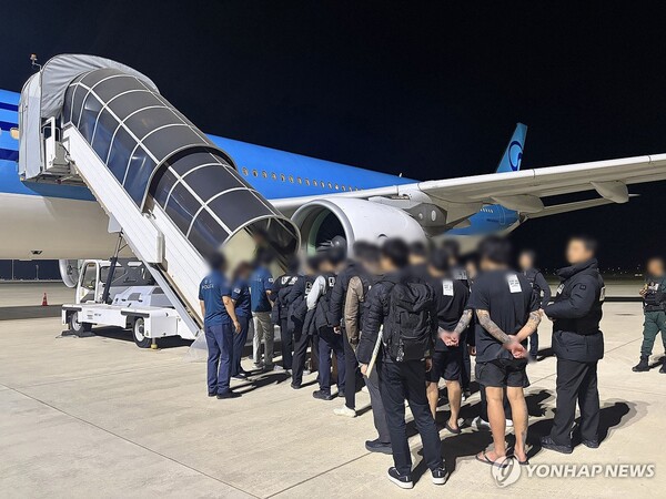캄보디아에서 스캠(scam·사기), 인질강도 등 범행을 저지른 한국인 범죄 조직원들이 지난 1월 23일 캄보디아 프놈펜 떼쪼국제공항에서 국내로 송환되고 있다. [연합뉴스]